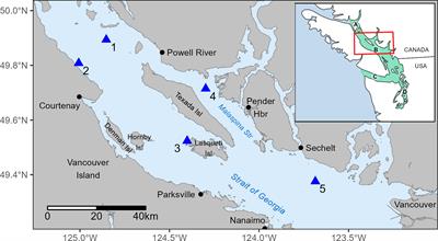 Patterns of winter occurrence of three sympatric killer whale populations off eastern Vancouver Island, Canada, based on passive acoustic monitoring